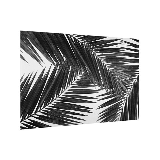 Wanddeko schwarz-weiß Blick durch Palmenblätter Schwarz-Weiß