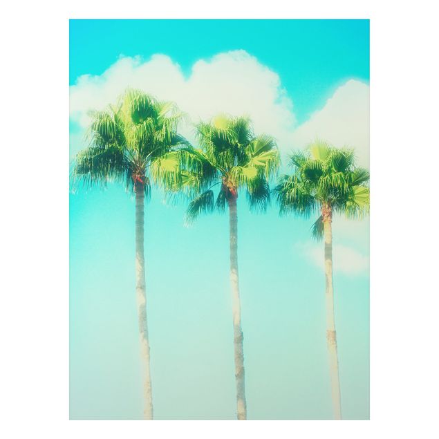 Wanddeko Flur Palmen vor Himmel Blau