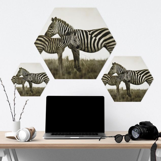 Wanddeko schwarz-weiß Zebrapaar