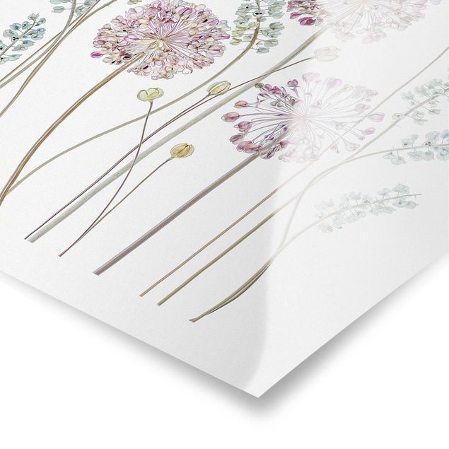 Wanddeko Flur Allium Illustration
