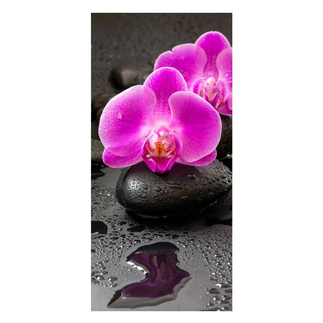 Wanddeko Flur Pinke Orchideenblüten auf Steinen mit Tropfen