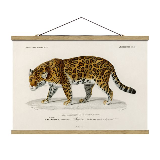 Wanddeko Flur Vintage Lehrtafel Jaguar