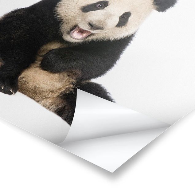 Wanddeko Jungenzimmer Lachender Panda