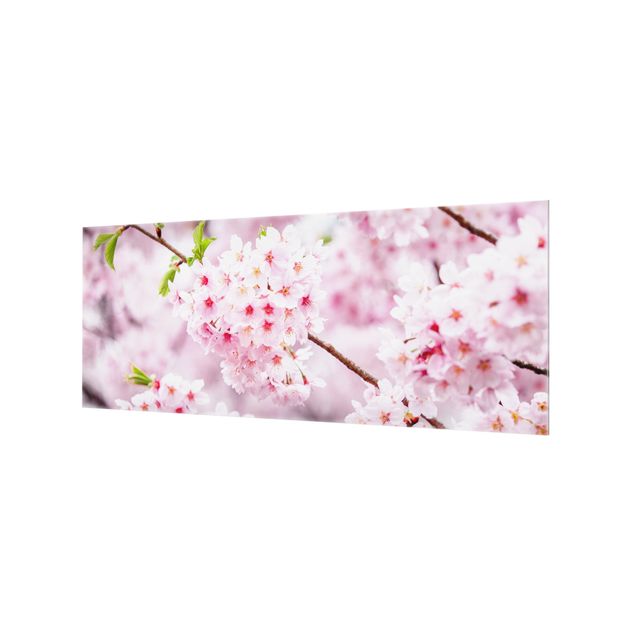 Wanddeko Fotografie Japanische Kirschblüten