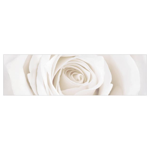 Küchenrückwand Folie Pretty White Rose