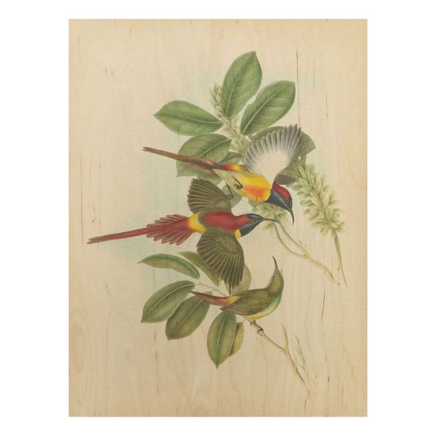 Wanddeko Flur Vintage Illustration Tropische Vögel III