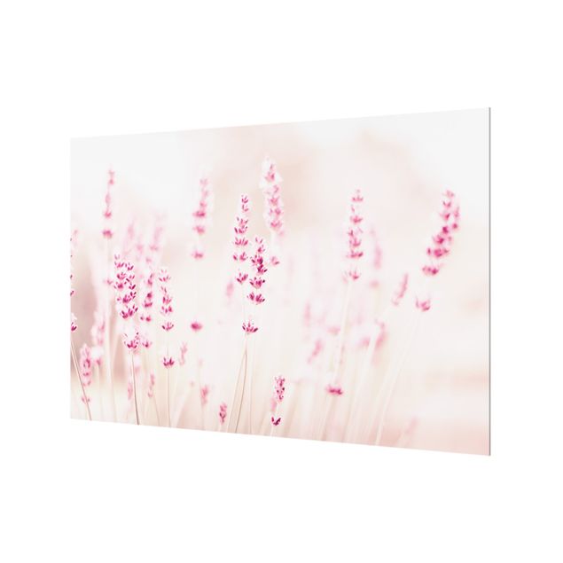 Glasrückwand Küche Blumen Zartrosaner Lavendel