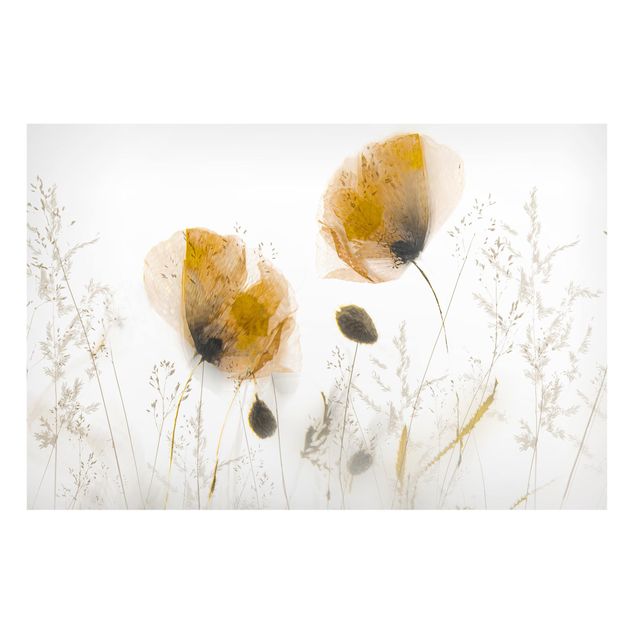 Wanddeko Flur Mohnblumen und zarte Gräser im weichen Nebel