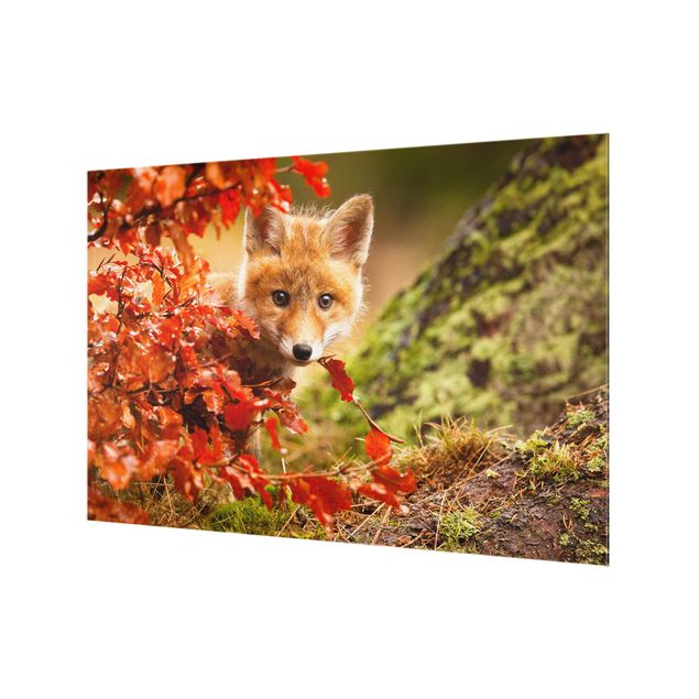 Wanddeko Tiere Fuchs im Herbst