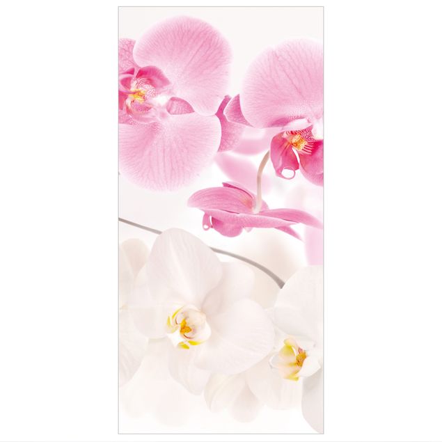 Wanddeko Flur Delicate Orchids