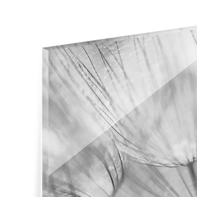 Deko Fotografie Pusteblumen Makroaufnahme in schwarz weiß