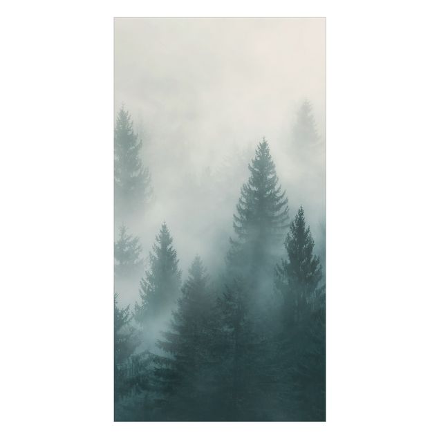 Wanddeko Wald Nadelwald im Nebel