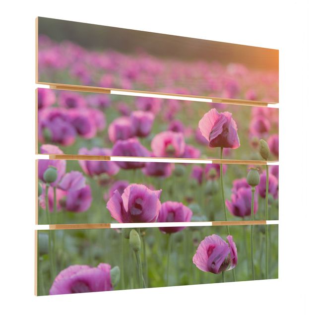 Wanddeko Esszimmer Violette Schlafmohn Blumenwiese im Frühling