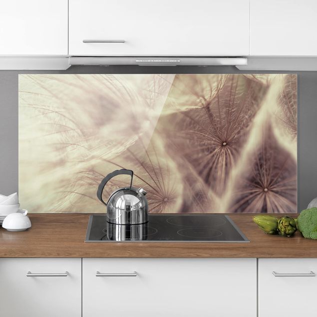 Küche Dekoration Detailreiche Pusteblumen Makroaufnahme mit Vintage Blur Effekt