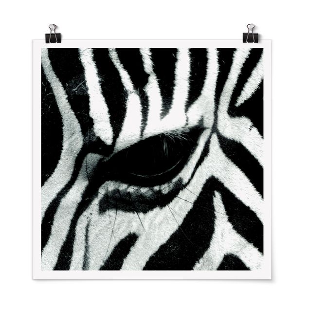 Wanddeko Esszimmer Zebra Crossing