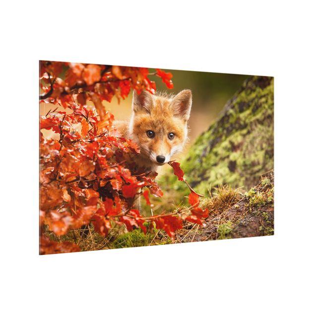 Wanddeko Wald Fuchs im Herbst
