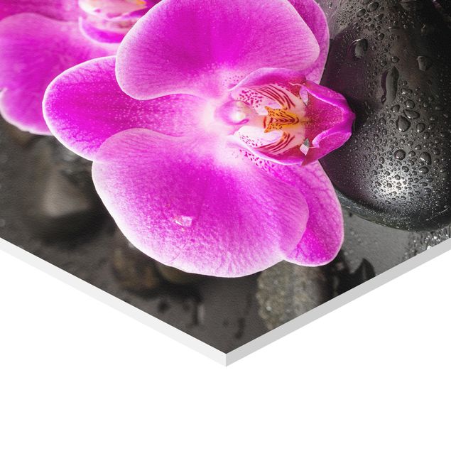 Wanddeko Treppenhaus Pinke Orchideenblüten auf Steinen mit Tropfen