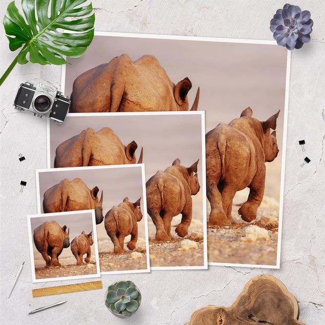 Wanddeko über Bett Wandering Rhinos