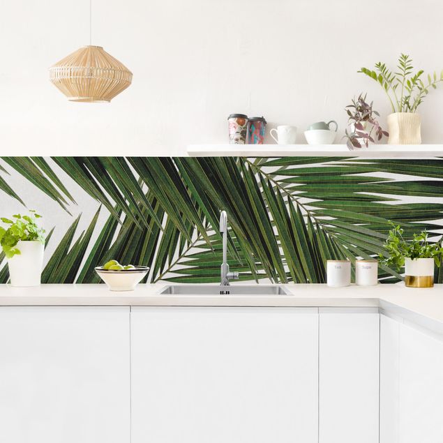 Wohndeko Palme Blick durch grüne Palmenblätter