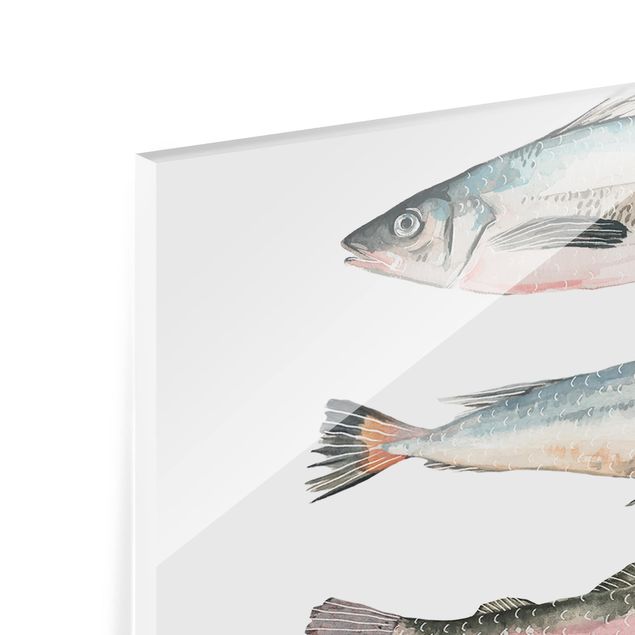 Glasrückwand Küche Sieben Fische in Aquarell I