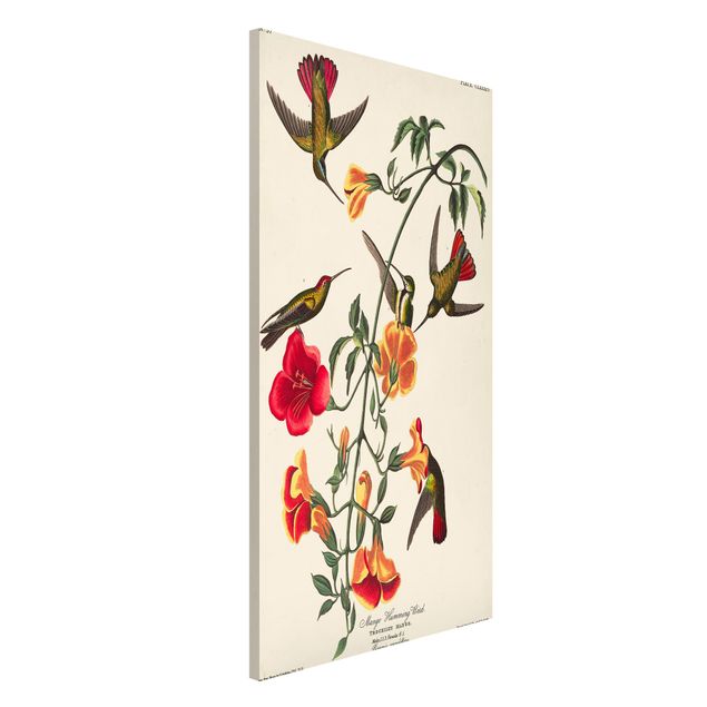 Wanddeko Blume Vintage Lehrtafel Mango Kolibris