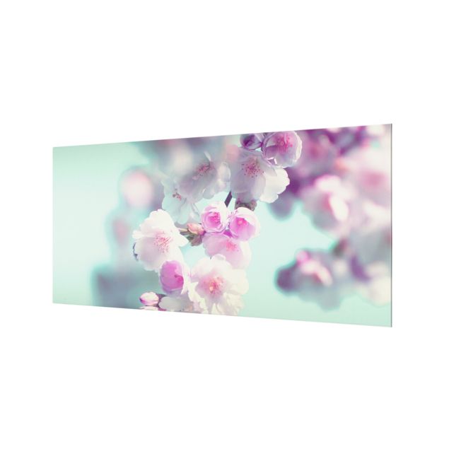 Glasrückwand Küche Blumen Farbenfrohe Kirschblüten