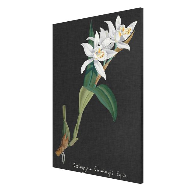 Wanddeko Esszimmer Weiße Orchidee auf Leinen II