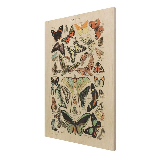 Wanddeko Esszimmer Vintage Lehrtafel Schmetterlinge und Falter