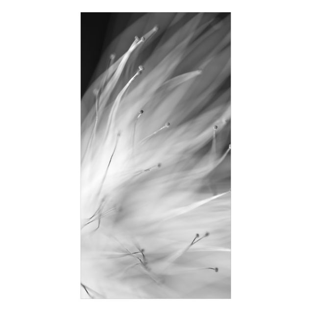 Deko Fotografie Blütenstaub Schwarz-Weiß