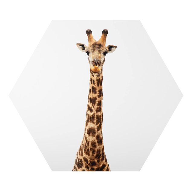 Wanddeko Giraffen Giraffenkopf