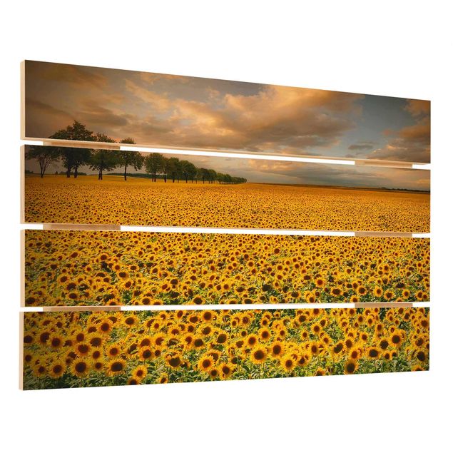 Wanddeko Esszimmer Feld mit Sonnenblumen