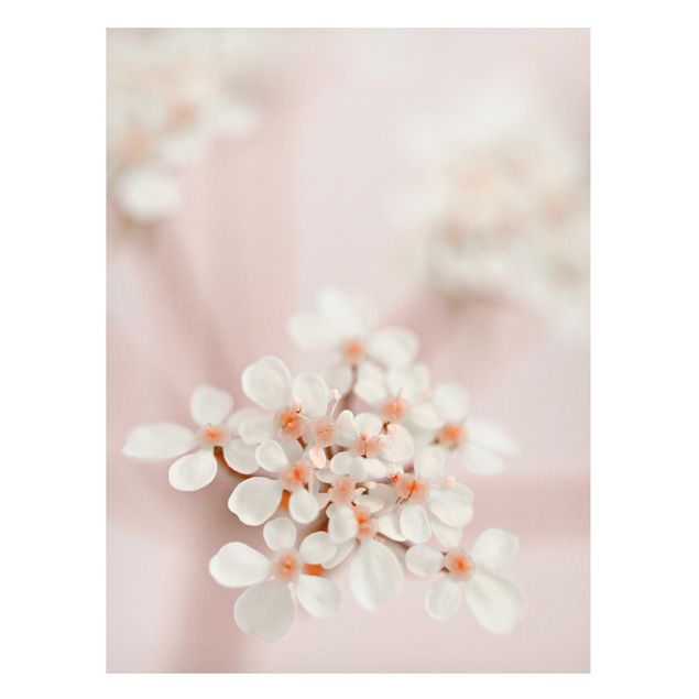 Wanddeko Flur Miniblüten im Rosanen Licht