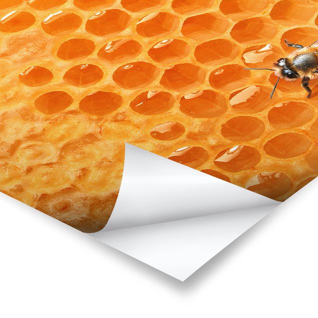 Deko Tiere Honey Bee
