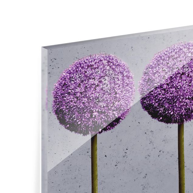 Glasrückwand Küche Allium Kugel-Blüten