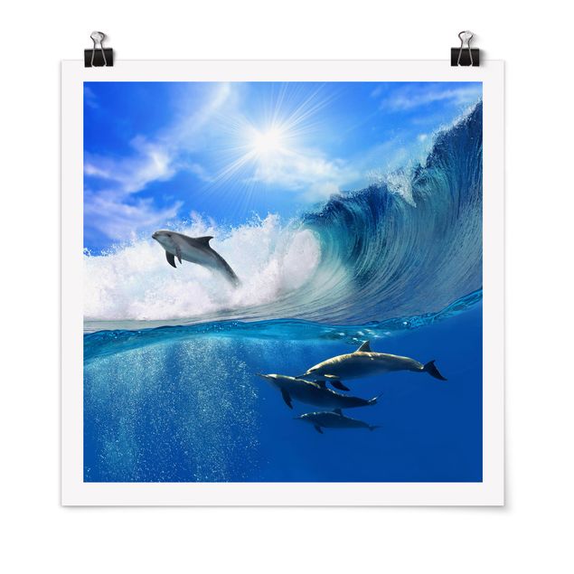 Wandbilder Fische Playing Dolphins