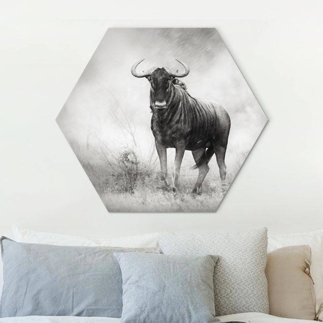 Wanddeko Schlafzimmer Staring Wildebeest