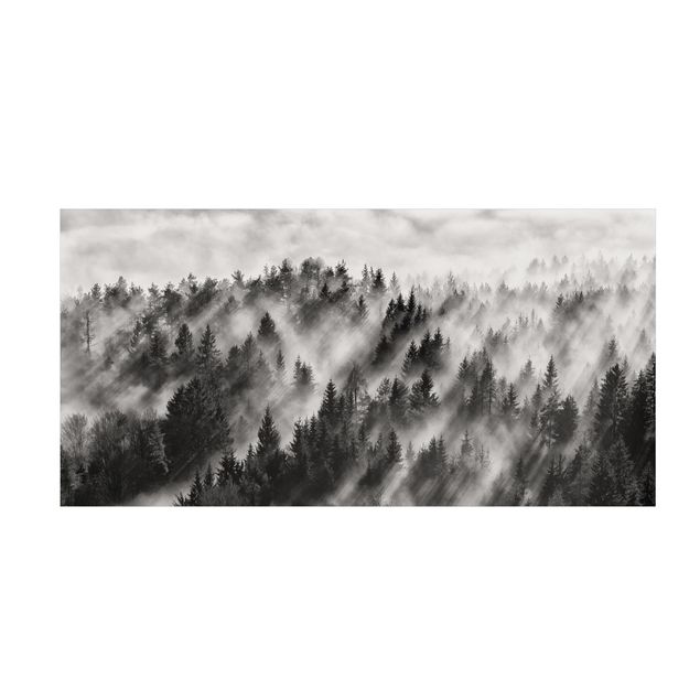 Wanddeko schwarz-weiß Lichtstrahlen im Nadelwald