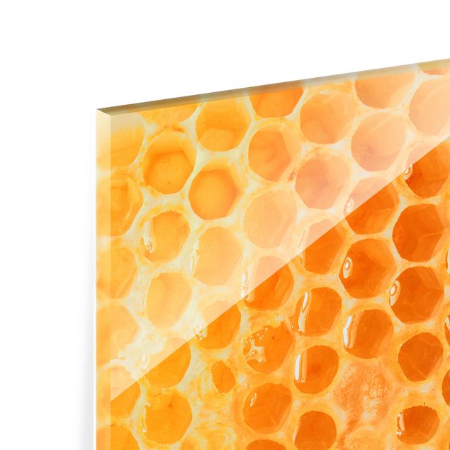 Glas Spritzschutz - Sunflower & Honeybee - Querformat - 4:3