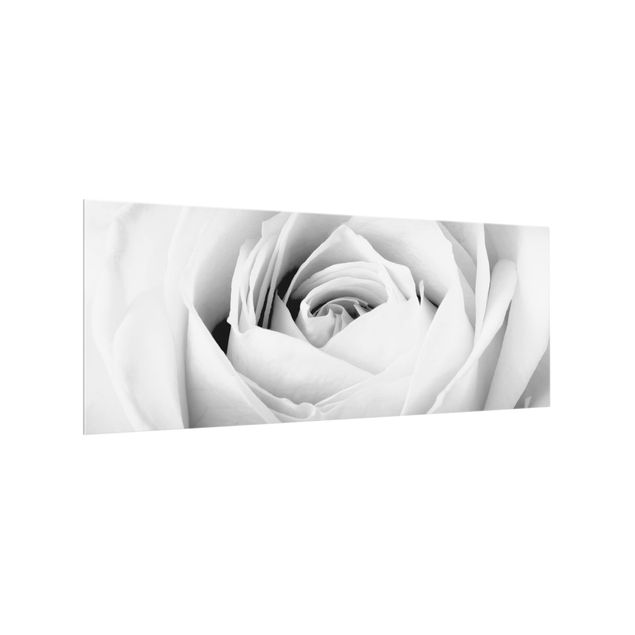 Wanddeko schwarz-weiß Close Up Rose