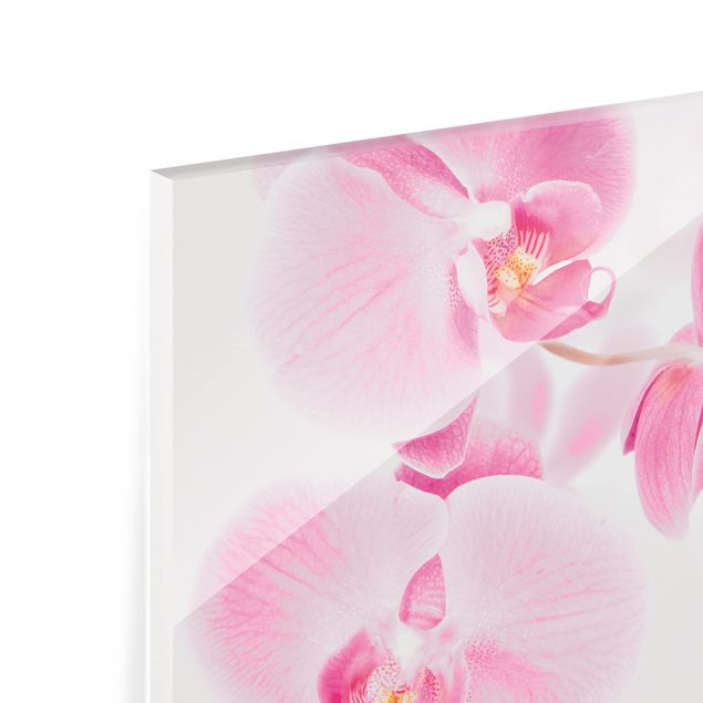 Glasrückwand Küche Delicate Orchids