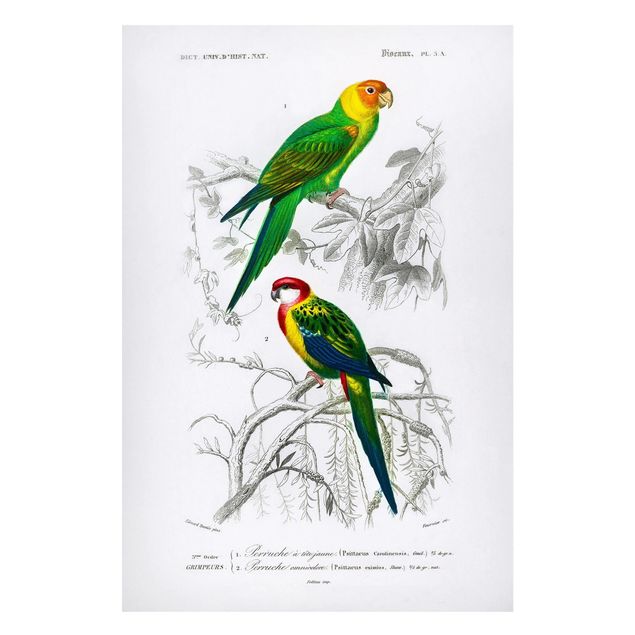 Wanddeko Esszimmer Vintage Lehrtafel Zwei Papageien Grün Rot