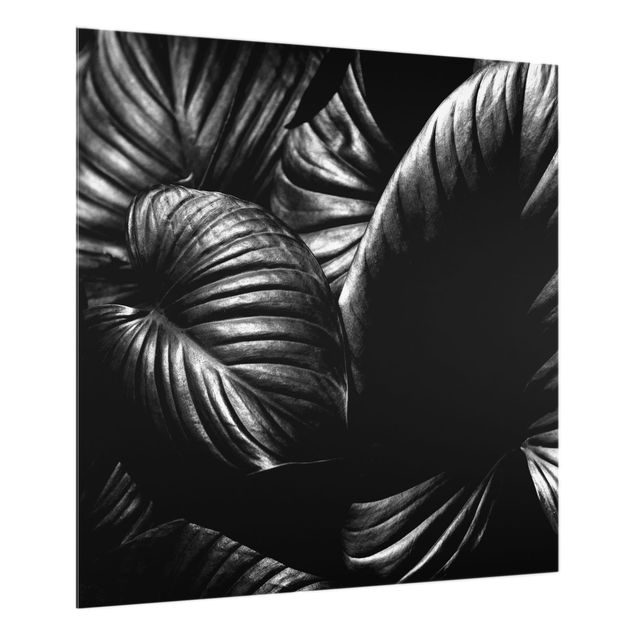 Wanddeko schwarz-weiß Schwarz Weiß Botanik Hosta