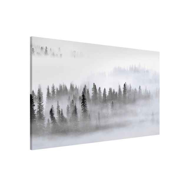 Wanddeko Flur Nebel im Tannenwald Schwarz-Weiß