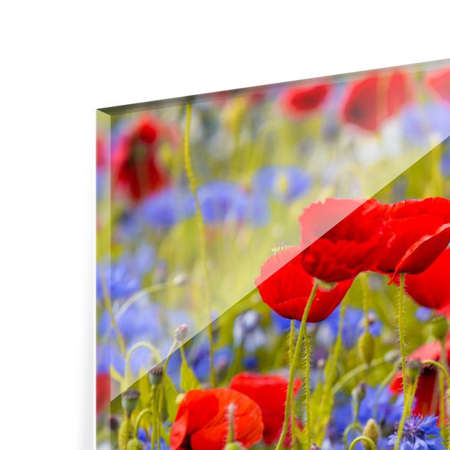 Wanddeko Fotografie Sommerwiese mit Mohn und Kornblumen