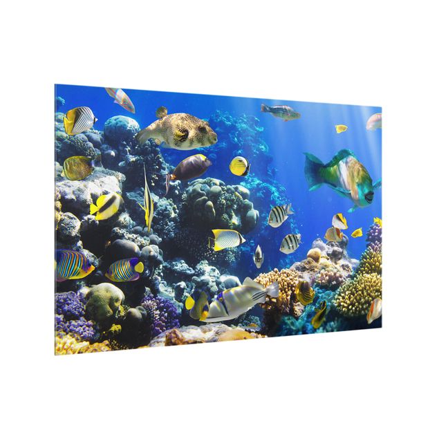 Wanddeko Landschaft Underwater Reef