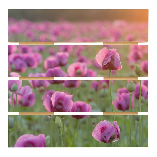 Wanddeko Flur Violette Schlafmohn Blumenwiese im Frühling