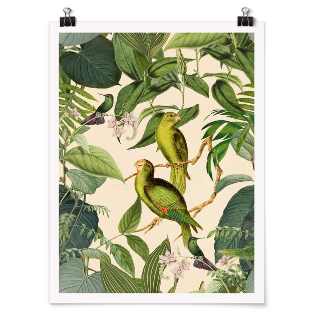 Wanddeko grün Vintage Collage - Papageien im Dschungel