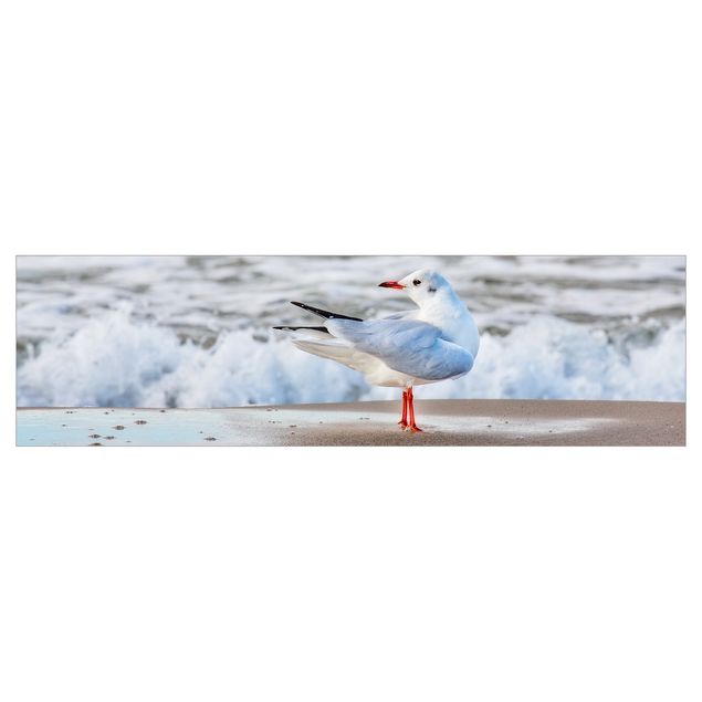 Wanddeko Vögel Möwe am Strand vor Meer