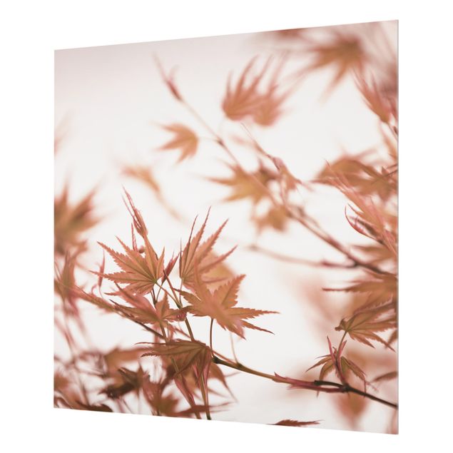 Glasrückwand Küche Blumen Ahornblätter in Herbstsonne