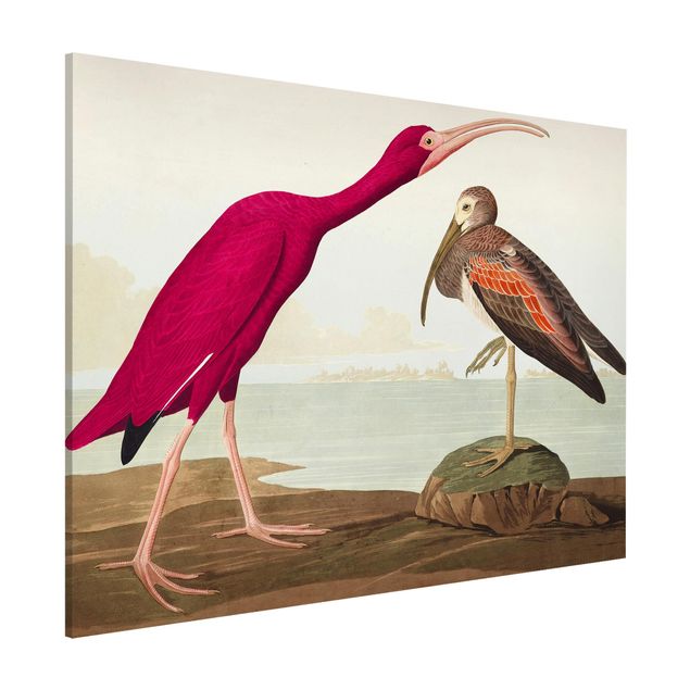 Wanddeko Flur Vintage Lehrtafel Roter Ibis